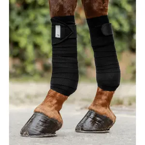 Ridande band Waldhausen Breath (x4) image-1