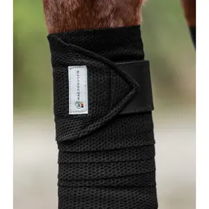 Ridande band Waldhausen Breath (x4) image-2