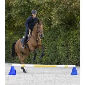 Αξεσουάρ για εμπόδια Waldhausen Cavaletti image-1