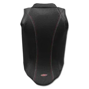 Elastyczna ochrona pleców dla dzieci do jazdy konnej Swing P07 image-1