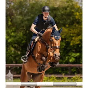Rugbeschermer voor paardrijden Swing P24 Max image-2