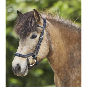 Anatomische Reittrensen für Pferde Waldhausen Island image-1