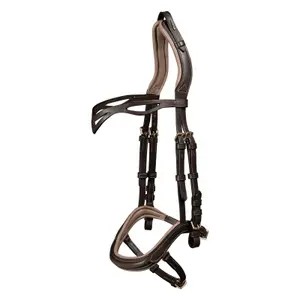 Anatomische Reittrensen für Pferde Waldhausen Island image-0