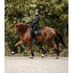 Polaire ELT Osaka image-4