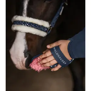 Soft brush Waldhausen Chiendent Lucky image-2