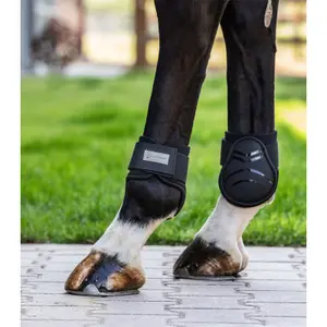 Horse knee boots Waldhausen Basic Plus image-1