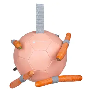 Balle à carottes Waldhausen image-0