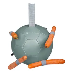 Balle à carottes Waldhausen image-0