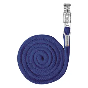 Long lead with panic hook Waldhausen image-0