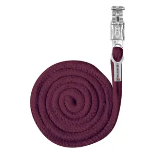 Long lead with panic hook Waldhausen image-0