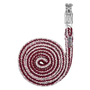 Long lead with panic hook Waldhausen image-0