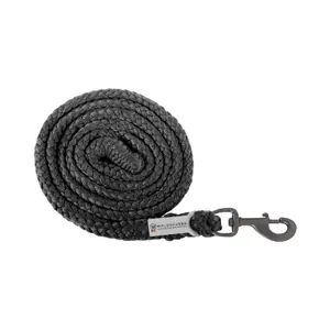 Standard clip-on lead with dark fittings Waldhausen Plus image-0