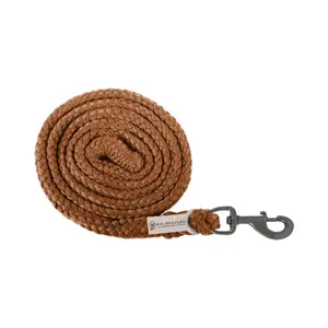 Standard clip-on lead with dark fittings Waldhausen Plus image-0