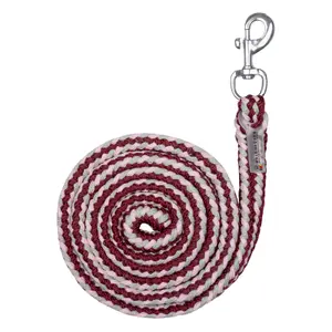 Lunge line with snap hook Waldhausen Plus image-0