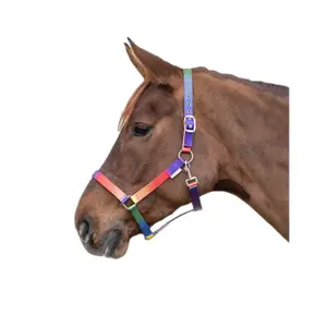 Halfter für Pferde VB und WB Waldhausen Arc-en-ciel image-1