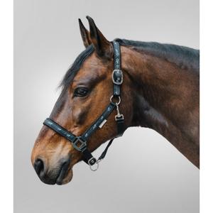 Bett till häst med dekoration av små hästar Waldhausen image-1