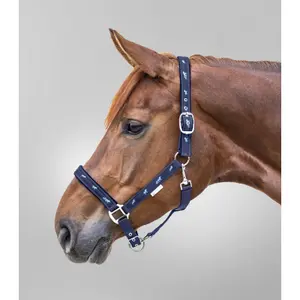 Læder til pony med små heste dekorationer Waldhausen image-1