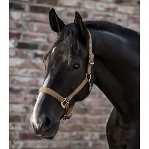 Satin pony headcollar Waldhausen image-1
