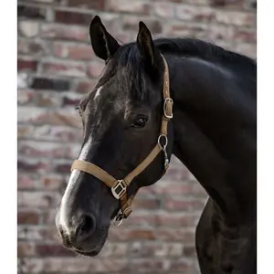 Satin horse halter Waldhausen image-1