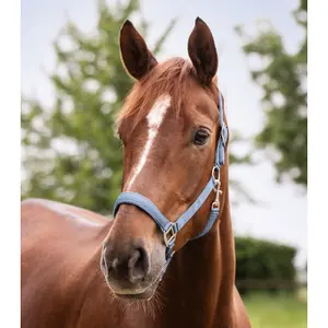 Satin pony headcollar Waldhausen image-1