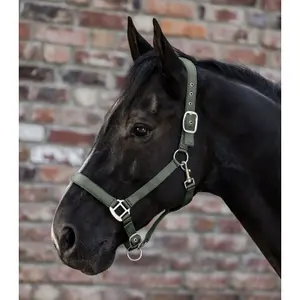 Bridão para cavalo de cetim Waldhausen image-1