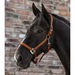 Satin headcollar for pony Waldhausen image-1