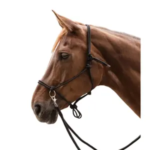 Licol pour cheval à nœuds avec rênes Waldhausen image-0