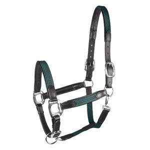 50436364-pon-pony-headcollar-star-mix-pine-green-silver-pony