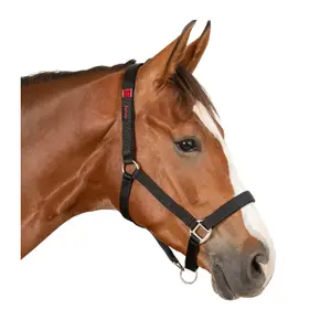 Cabezada de seguridad para caballo Waldhausen image-1