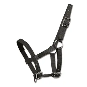 Headcollar for mini-shetland pony Waldhausen image-0