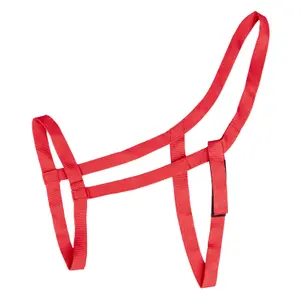 Licol pour Shetland de prairie Waldhausen image-0