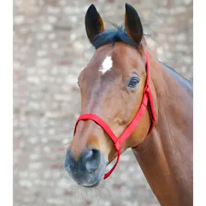 Licol pour Shetland de prairie Waldhausen image-1