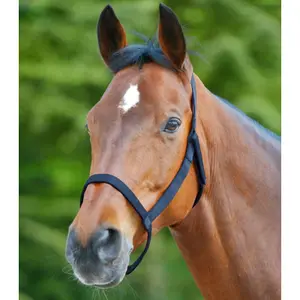Halsband voor grasland pony Waldhausen image-1