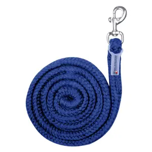 Lunge line with snap hook Waldhausen image-0