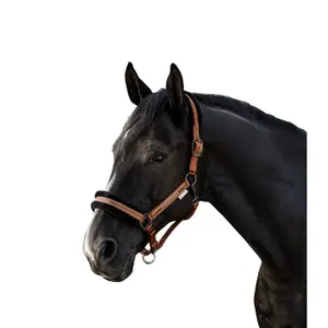 Halter for cob with fur Waldhausen Elegant image-1