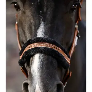 Halter for cob with fur Waldhausen Elegant image-2