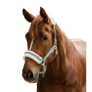 Halter for cob with fur Waldhausen Elegant image-1