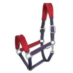 Halter for pony Waldhausen Island Hellnar image-0