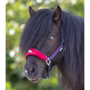Halter for pony Waldhausen Island Hellnar image-1