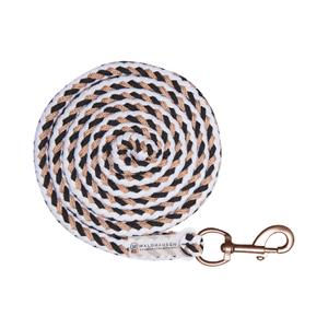 Longe Reiten mit Karabinerhaken Waldhausen Shine image-0