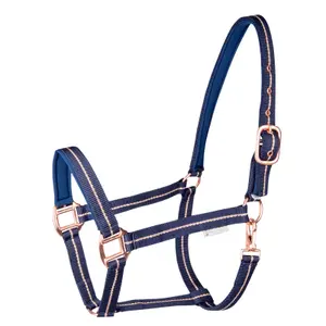 Cavallo sottosella rosa Waldhausen image-0