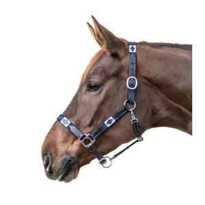 Licol pour cob en cuir Waldhausen Polo image-1