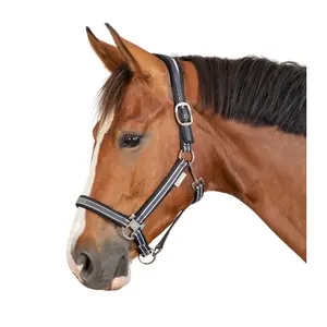 Cabresto para cavalos Waldhausen Atheltic image-1