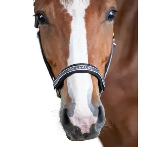 Cabresto para cavalos Waldhausen Atheltic image-2