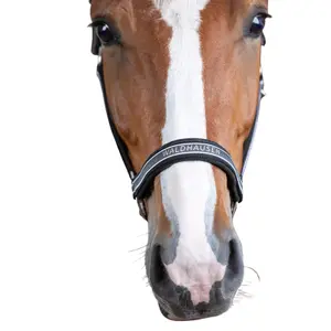 Tömkoppsnärt till ponny Waldhausen Atheltic image-1