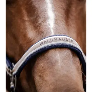 Halter for pony Waldhausen Atheltic image-1