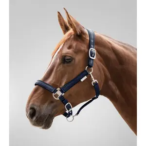 Halster för häst Waldhausen Atheltic image-1