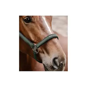 Halter for pony Waldhausen Atheltic image-2