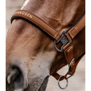 Licol pour cob Waldhausen Atheltic image-2