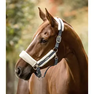 Cabestro para pony Waldhausen Soft image-1